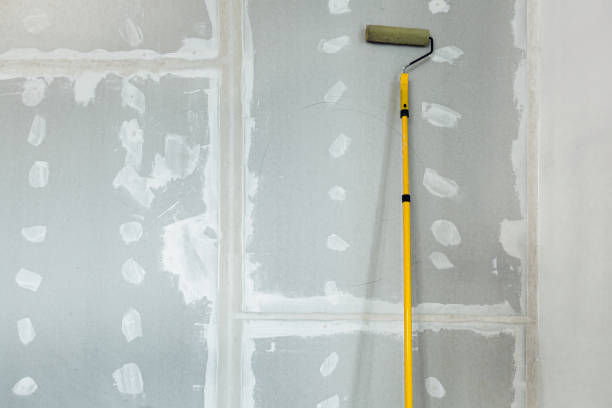 Best Attic Mold Removal  in Paradise Valley, AZ