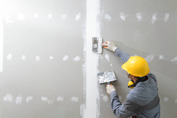 Environmental Consulting for Mold Prevention in Paradise Valley, AZ