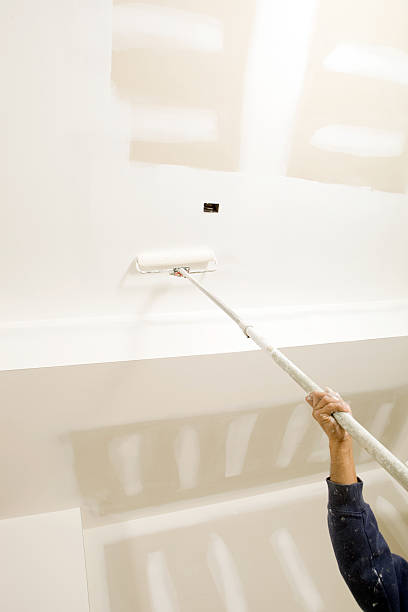 Best Mold Prevention Services  in Paradise Valley, AZ