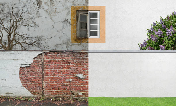 Best Mold Documentation for Insurance Claims  in Paradise Valley, AZ