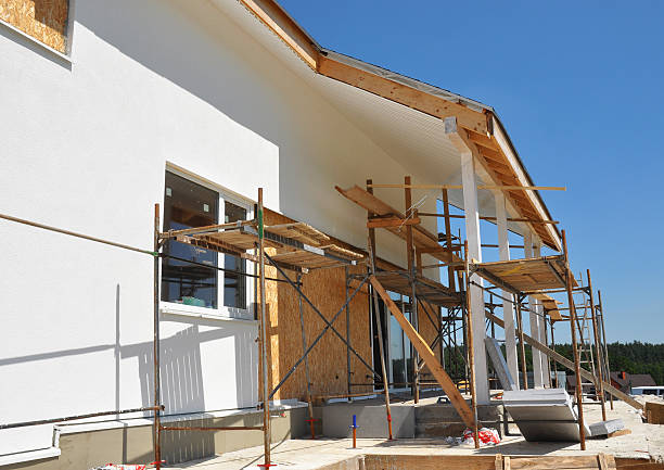 Best Industrial Mold Remediation  in Paradise Valley, AZ