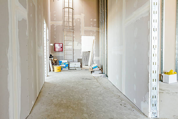 Mold Documentation for Insurance Claims in Paradise Valley, AZ