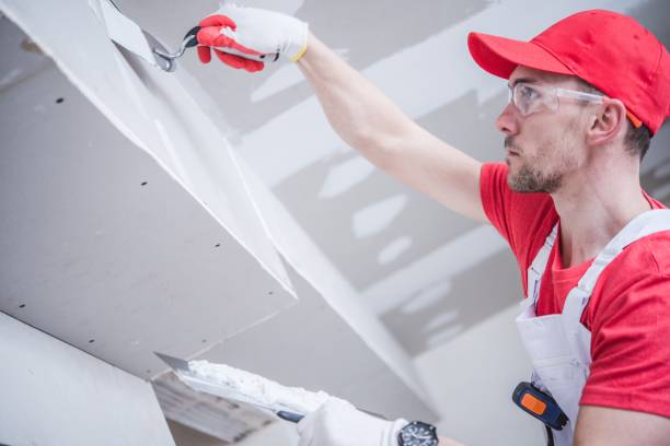 Best Mold Odor Removal Services  in Paradise Valley, AZ